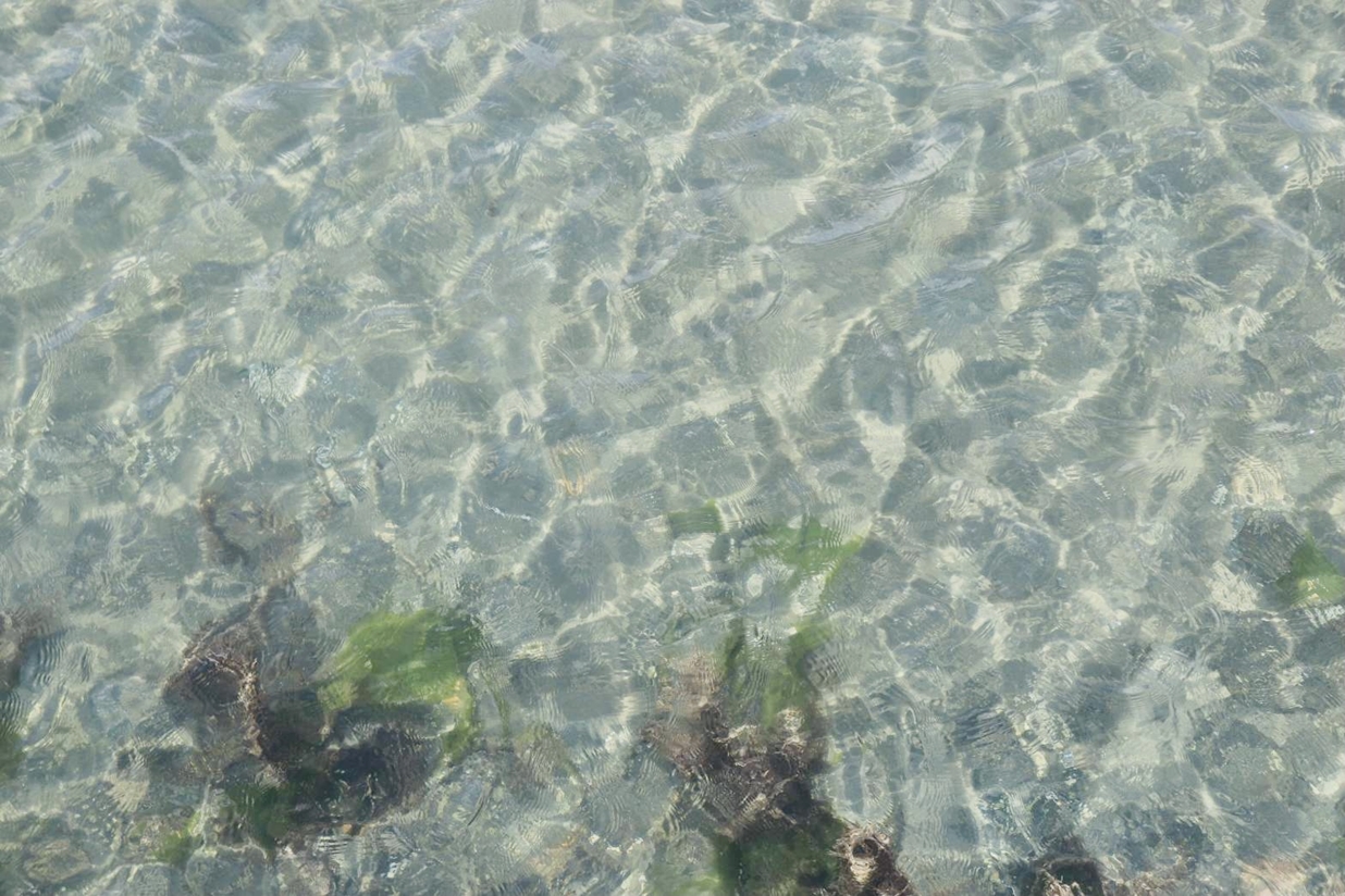 海の思い出
