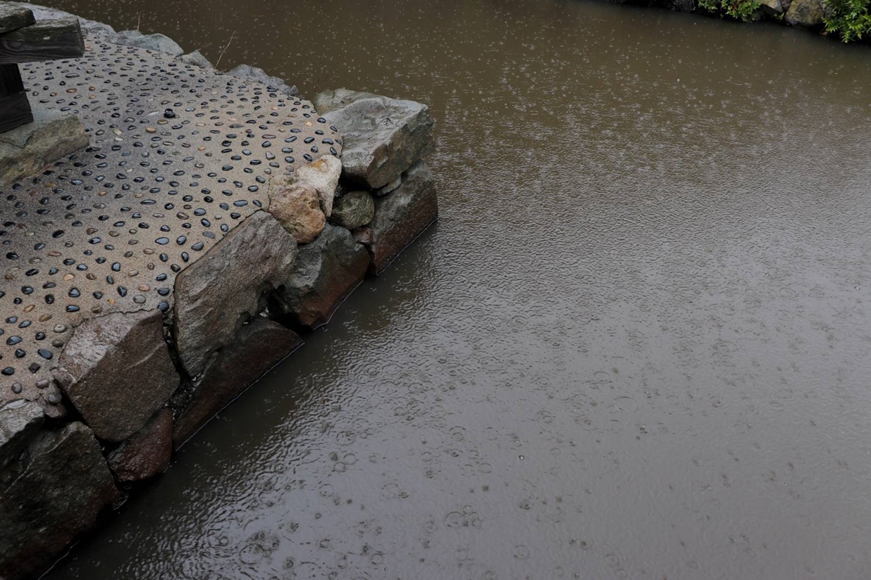 雨模様