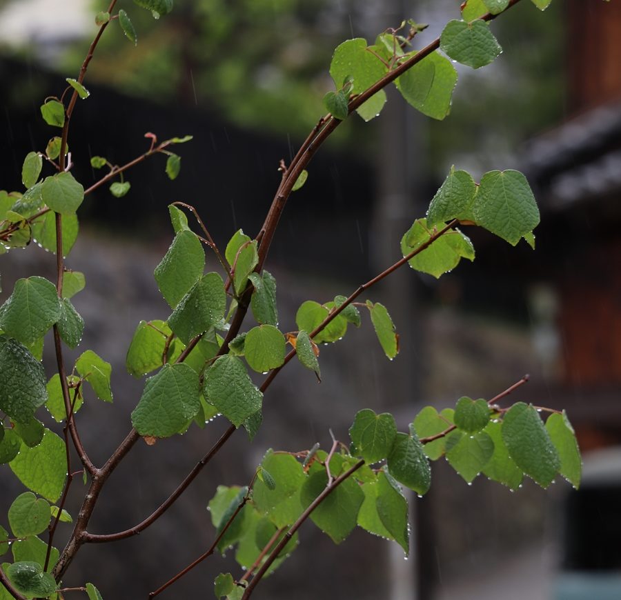 年末年始の営業について