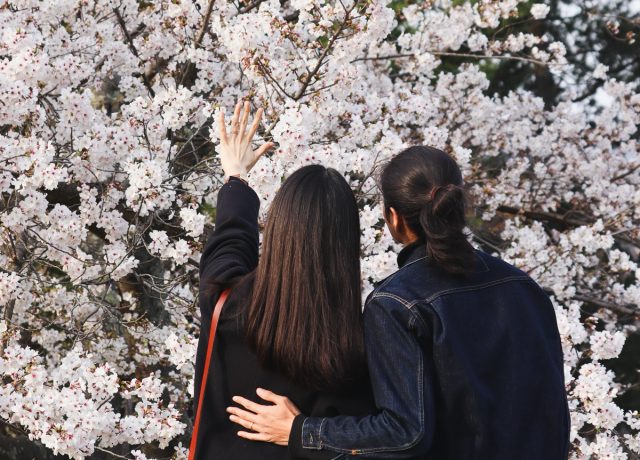 「太陽と月」